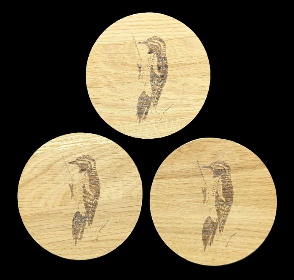 Woodpecker Oak Coaster - group