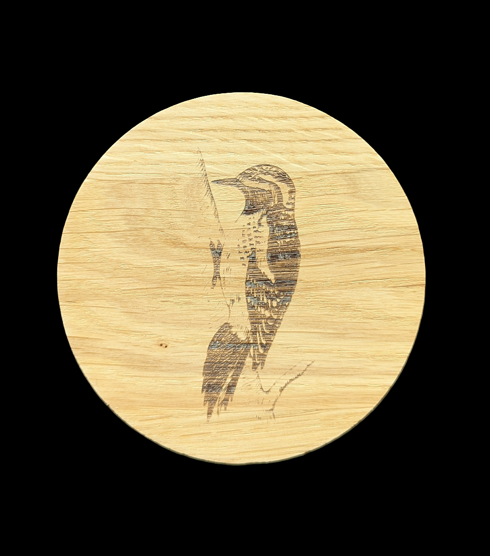 Woodpecker Oak Coaster - Front