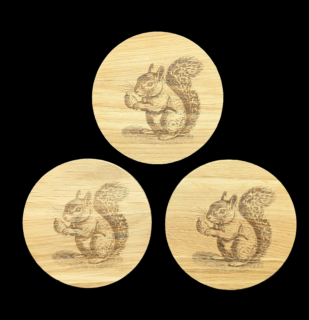 Squirrel Oak Coaster - Group