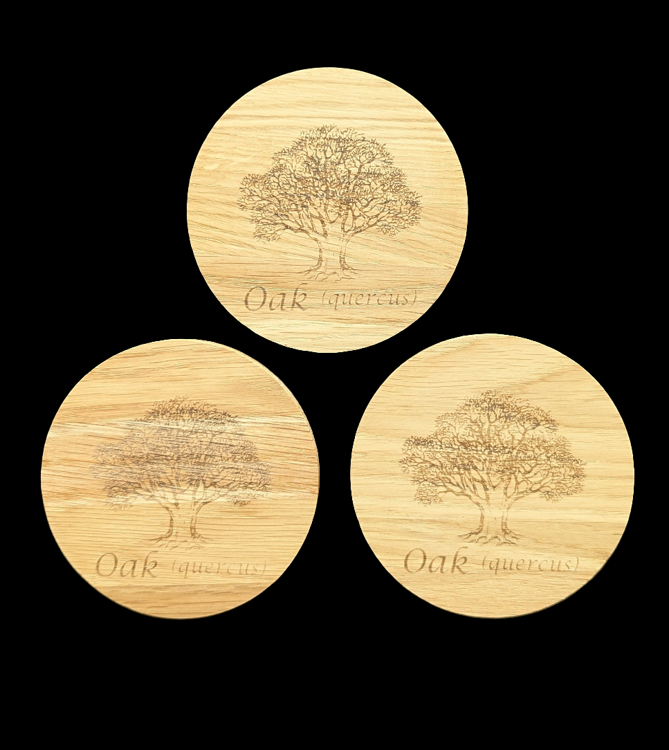 Oak tree Coaster - group