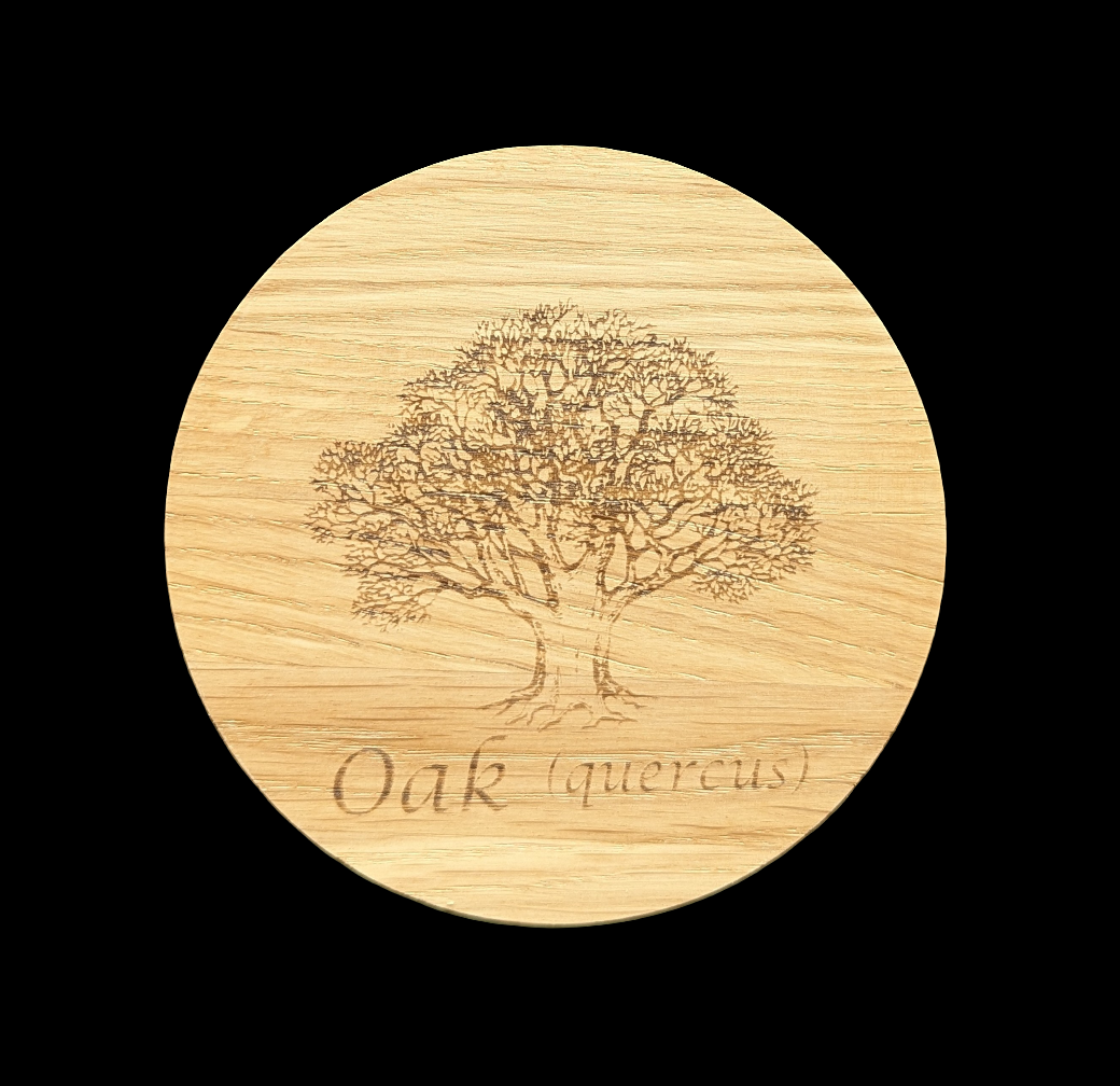 Oak Tree Coaster- Front