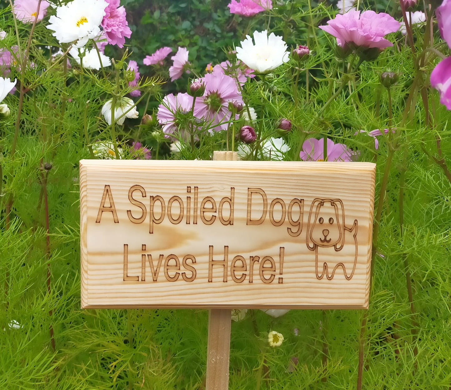 A spoiled dog lives here Outdoor Garden Sign - Stake