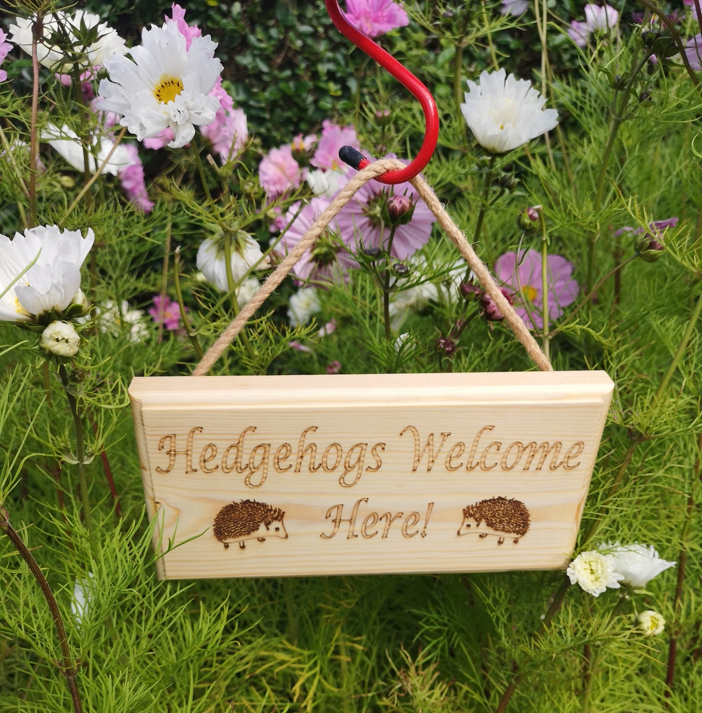 Hedgehogs welcome here outdoor wooden garden sign - Hanger