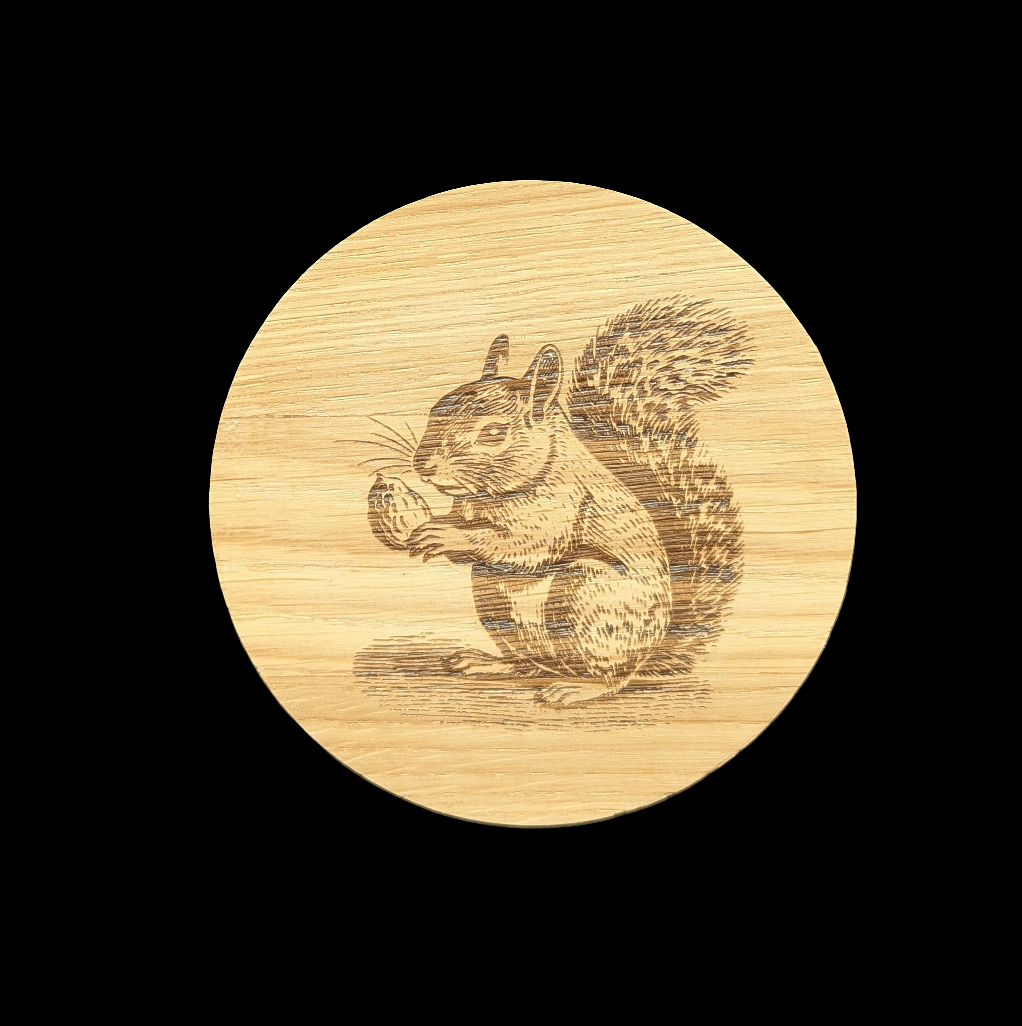 Squirrel Oak Coaster - Front