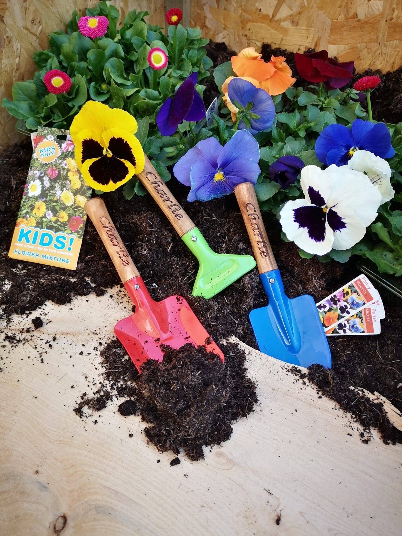 Children's plant your own Trug kit.